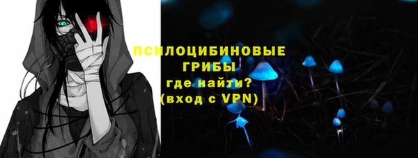 стафф Арсеньев