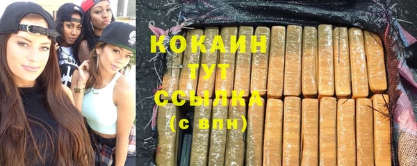стафф Арсеньев