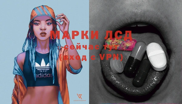 стафф Арсеньев