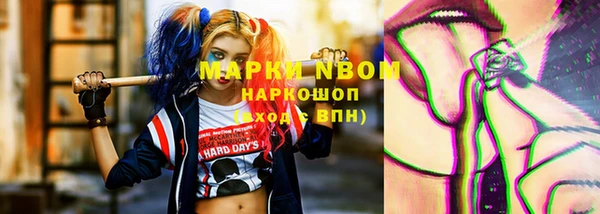 стафф Арсеньев