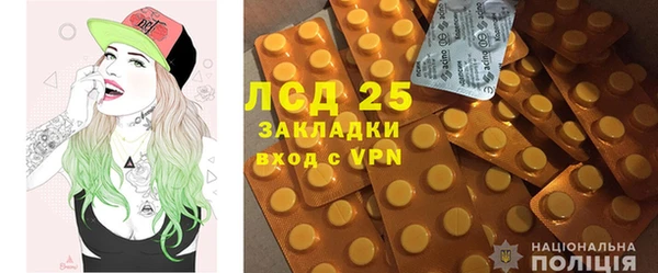 стафф Арсеньев